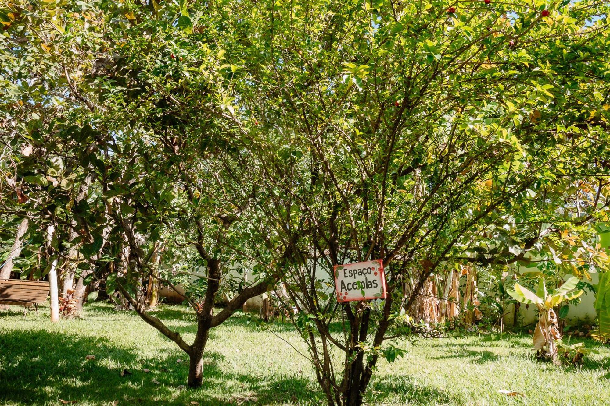 Pousada Adega Cipo Serra do Cipo National Park Exterior foto
